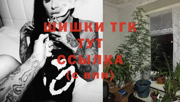бошки Зеленодольск