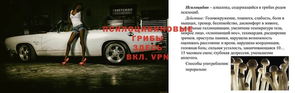 синтетический гашиш Зеленокумск