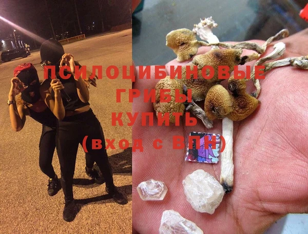 spice Зерноград