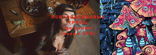 spice Зерноград