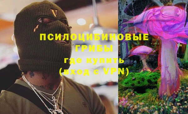 spice Зерноград