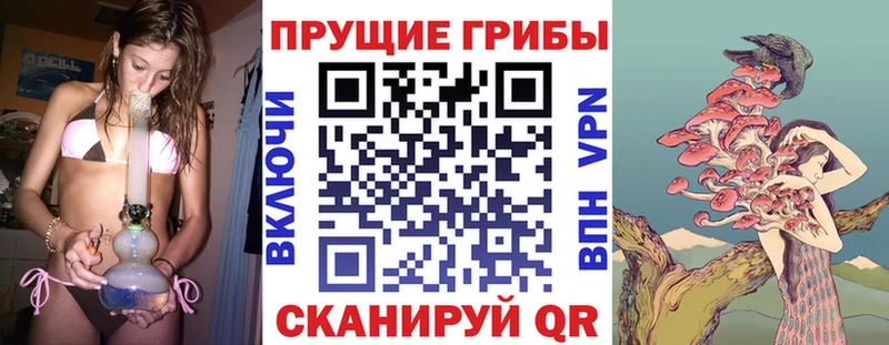 Купить закладки  Жуковский  Галлюциногенные грибы Magic Shrooms 